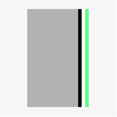 Foldio2 Yedek Arka Fon Set 4 Renk (Beyaz, Gri, Siyah, Yeşil)